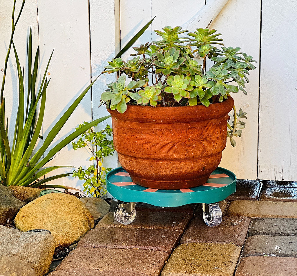 RollyGreens Plant Dolly